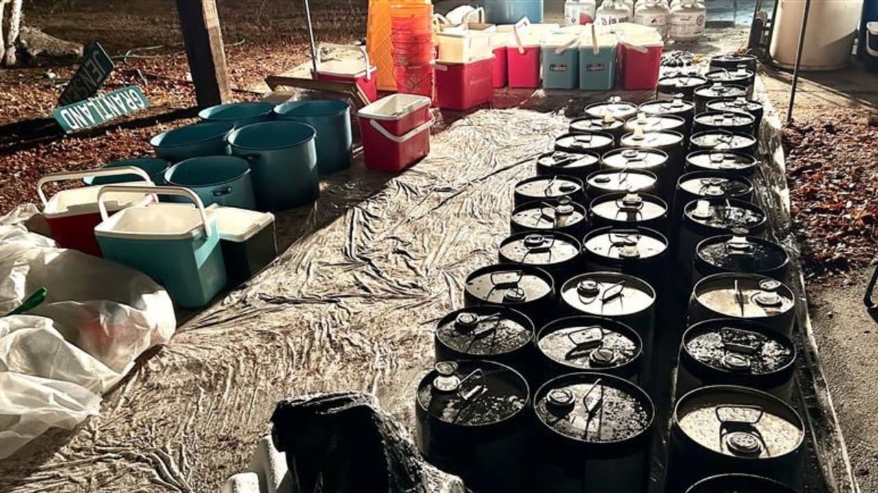 Al cumplir con las órdenes de cateo, en las propiedades se incautaron aproximadamente 252.2 libras de metanfetamina, 100 galones de solución de metanfetamina, 14 armas de fuego y miles de dólares, que se creen provienen de la venta de drogas.