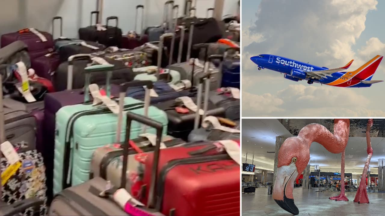 Recomendaciones en caso de que tu vuelo sea cancelado en el Aeropuerto Internacional de Tampa