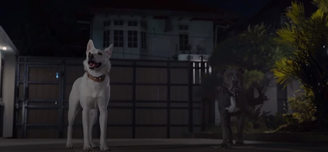 Películas de Netflix