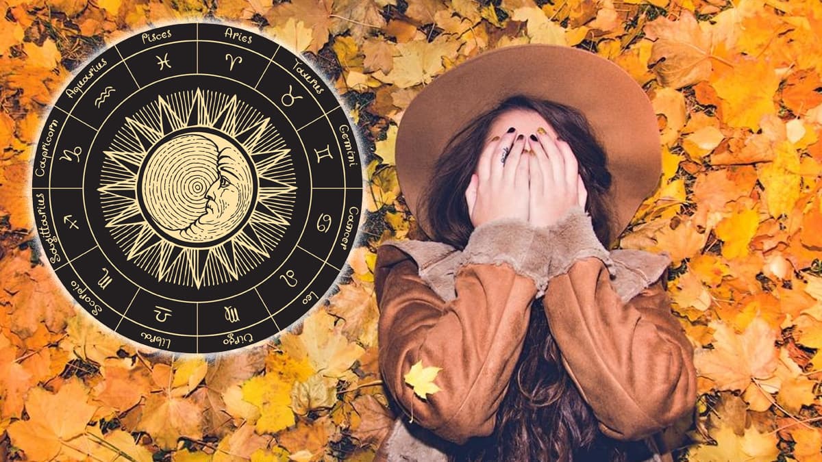 Desde el 22 de septiembre estamos ya en el Otoño en el Hemisferio Norte. Cuando llega esta época del año, las hojas empiezan a caer de los árboles y las tardes se tornan grises perdiendo el calor del verano.