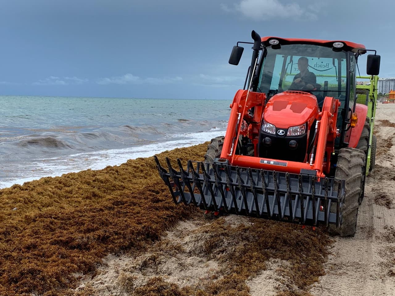 Los equipos de limpieza comenzaron a la remoción este dos de agosto, en los sectores más afectados a lo largo de una milla y media, en el condado Miami-Dade.