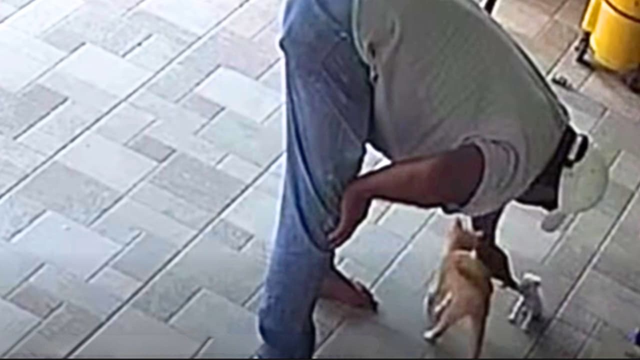 Nuevo video de Lorenzo Salgado: lo captan jugando con sus mascotas horas antes de que muriera a manos de ICE