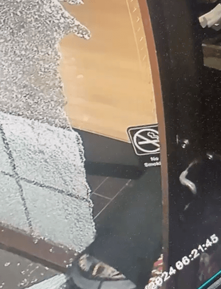 De hecho, el daño económico más grande ha sido el panel de vidrio que los ladrones rompieron para poder darse a la fuga.
<br>