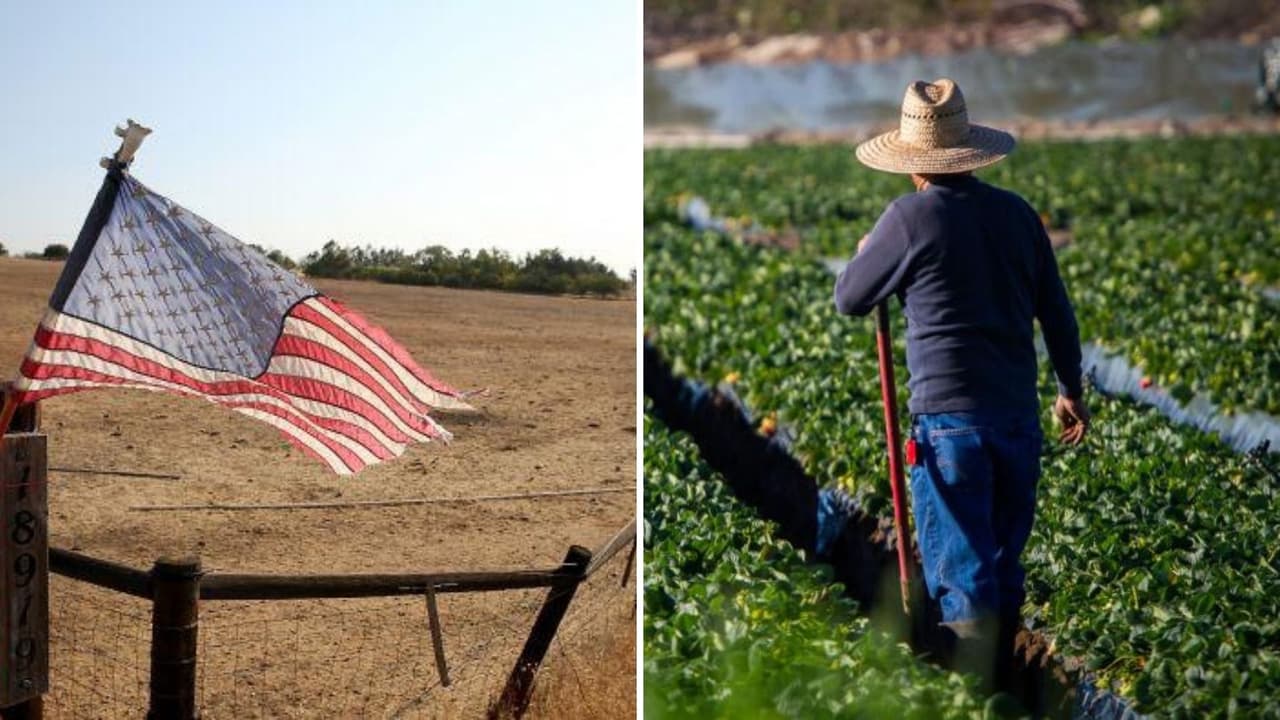 Lo que se sabe del plan de ayuda para el sector agrícola afectado por la sequía en el Valle de Sacramento