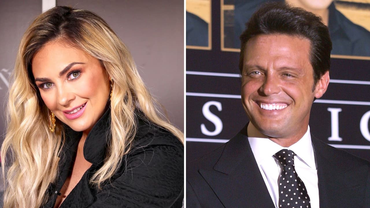 Como casi nunca, Aracely Arámbula da detalles del nacimiento de los hijos que tuvo con Luis Miguel