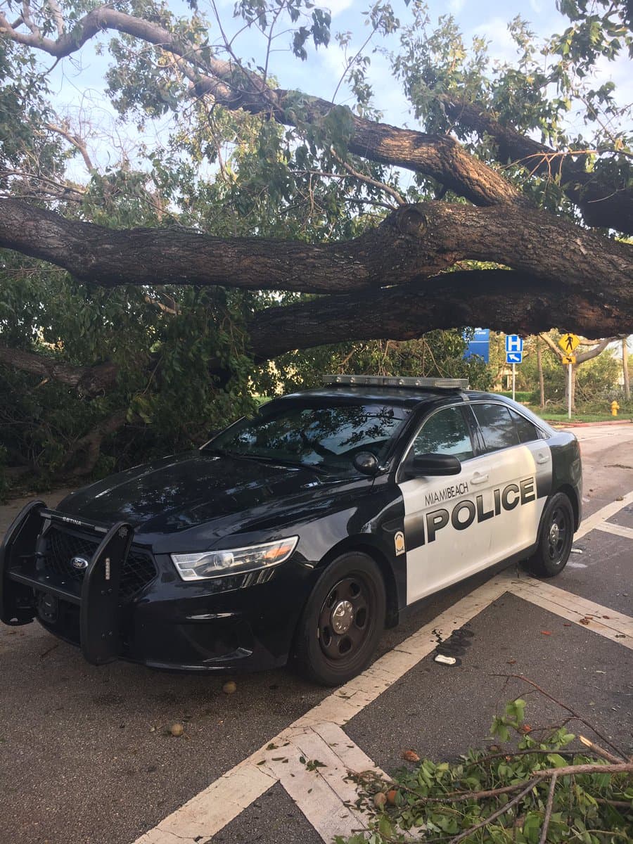 Fallen trees and power lines in Miami Beach. The roads will reopen once roads are safe, police say.