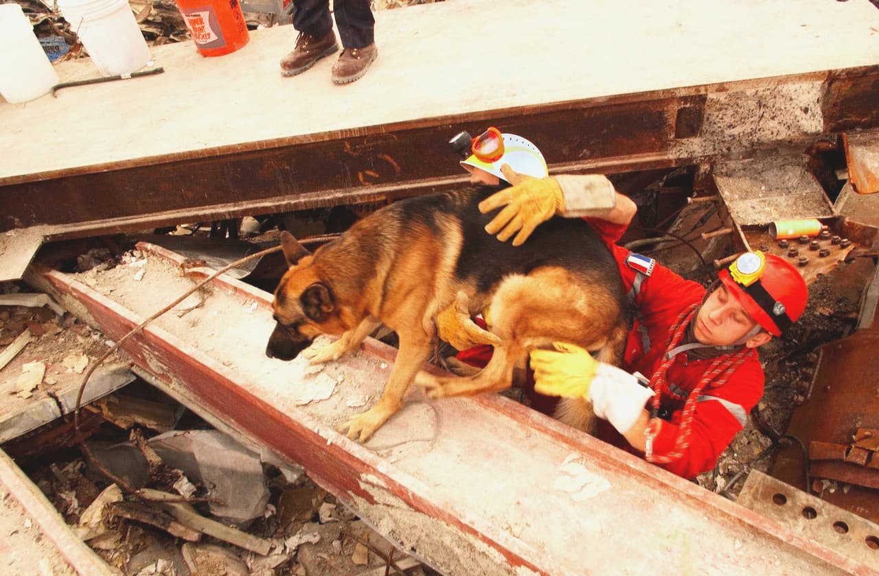 Estas NO son las típicas imágenes del 9/11 y te robarán el corazón