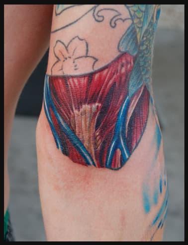 Tatuajes de anatomía