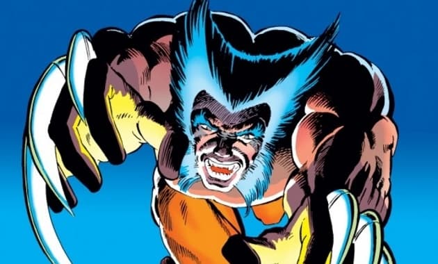 Magneto vs. Wolverine