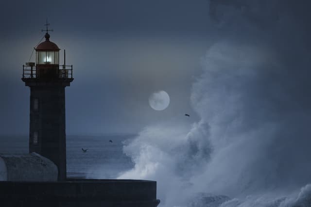 Febrero no tendrá Luna llena por primera vez en muchos años: ¿cómo nos afecta esto?