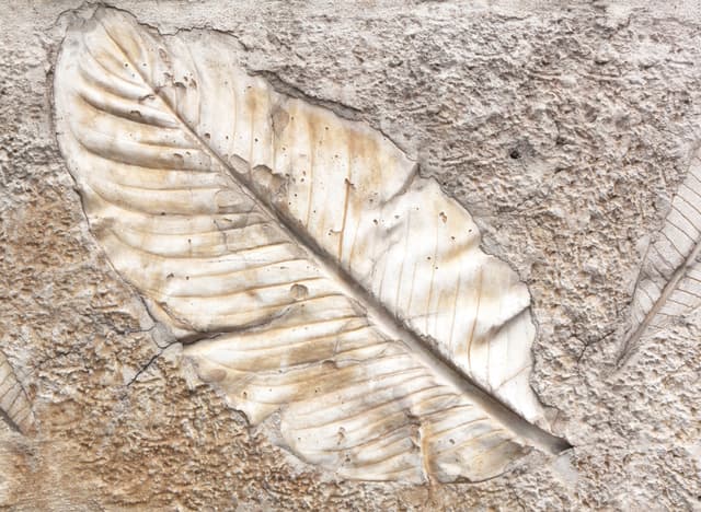 3 razones para creer que el calentamiento global es causado por el hombre