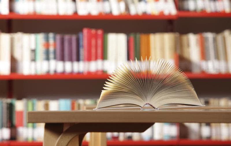 5 célebres y prolíficos escritores que publicaron una sorprendente cantidad de obras