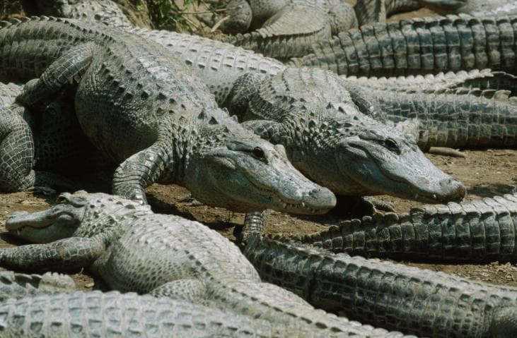 ¿Crees que te va mal? A estas personas les pagan por hacer estos trabajos