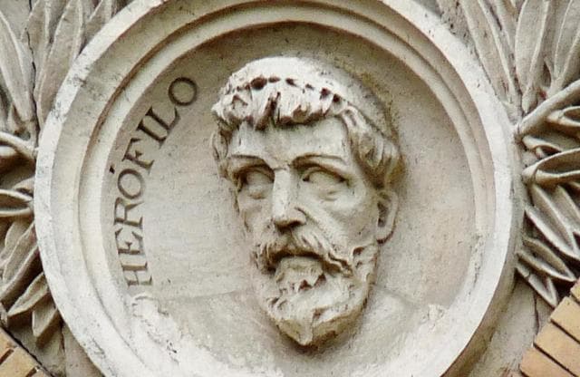 6 históricos anatomistas y diseccionadores de muertos (y vivos) que tienes que conocer