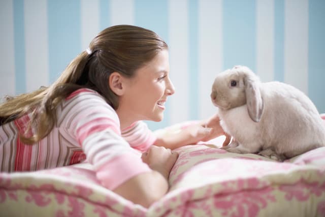 6 mitos sobre los conejos que necesitas conocer