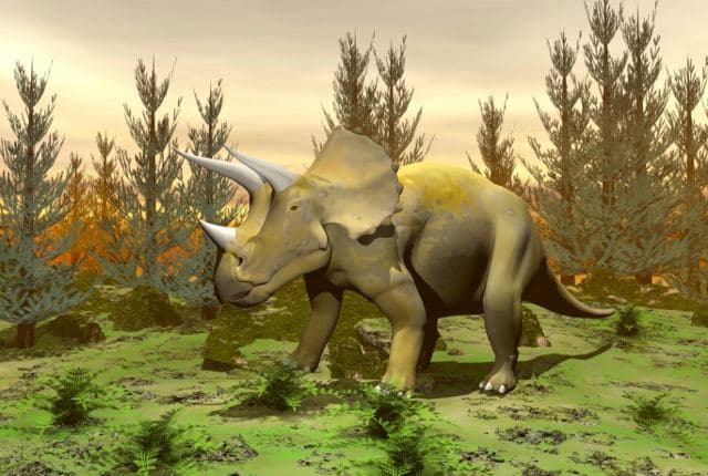 7 curiosidades sobre el Triceratops, nuestro cornudo amigo