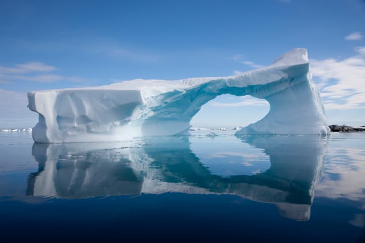 La biodiversidad de la Antártida