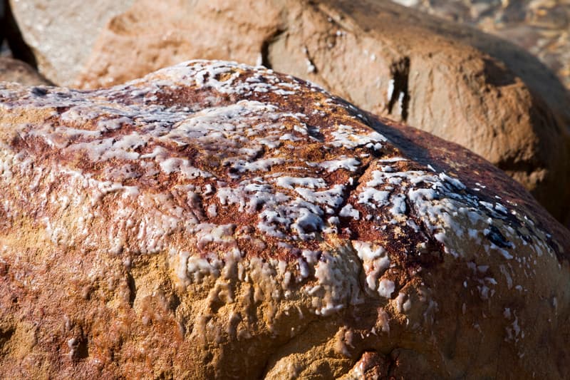 Características del bromo