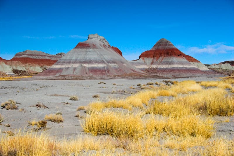 Características del praseodimio