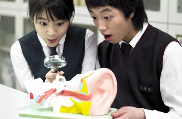 ¿Cómo funciona el sentido del oído?