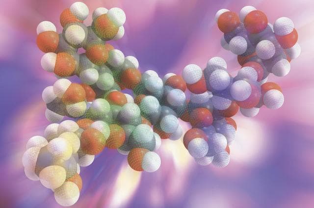 ¿Cómo funcionan las enzimas?