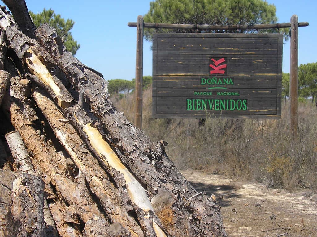 Doñana, la mayor reserva natural de Europa