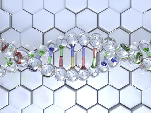 El gran olfato de los elefantes y su explicación genética