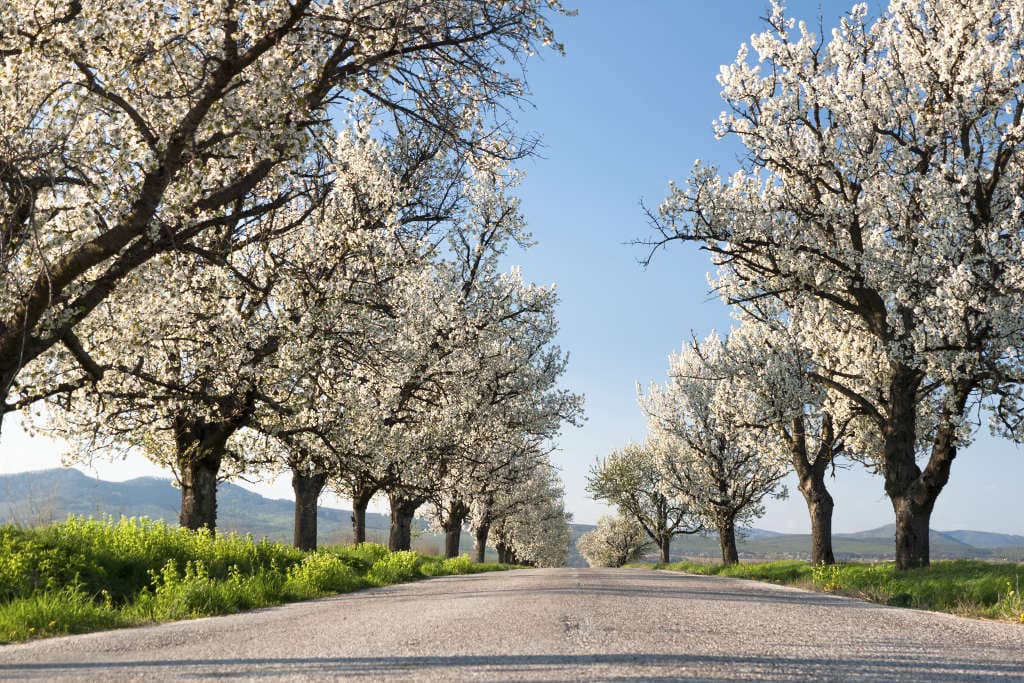 7 extrañas y curiosas cosas que ocurrieron en la Estación Espacial Internacional