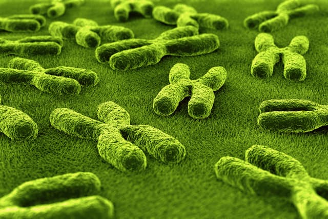 El primer caso de un bebé argentino modificado genéticamente