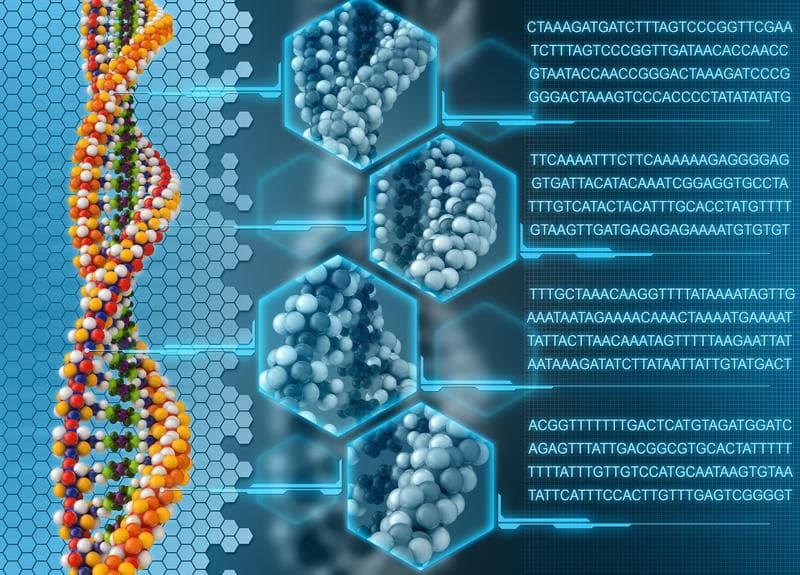 Experimentos caseros: mira tu propio ADN