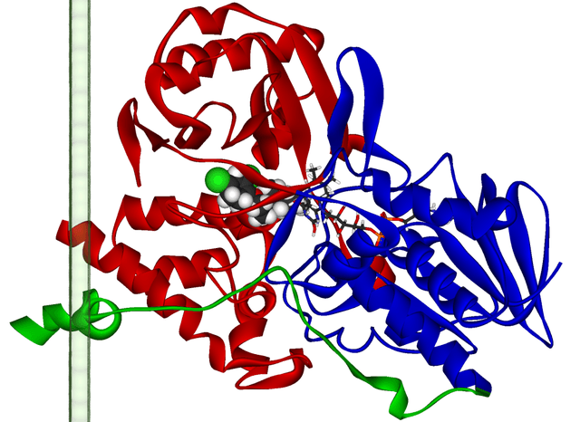 La tendencia a la violencia podría ser genética