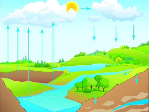 ¿Por qué los océanos regulan la temperatura?