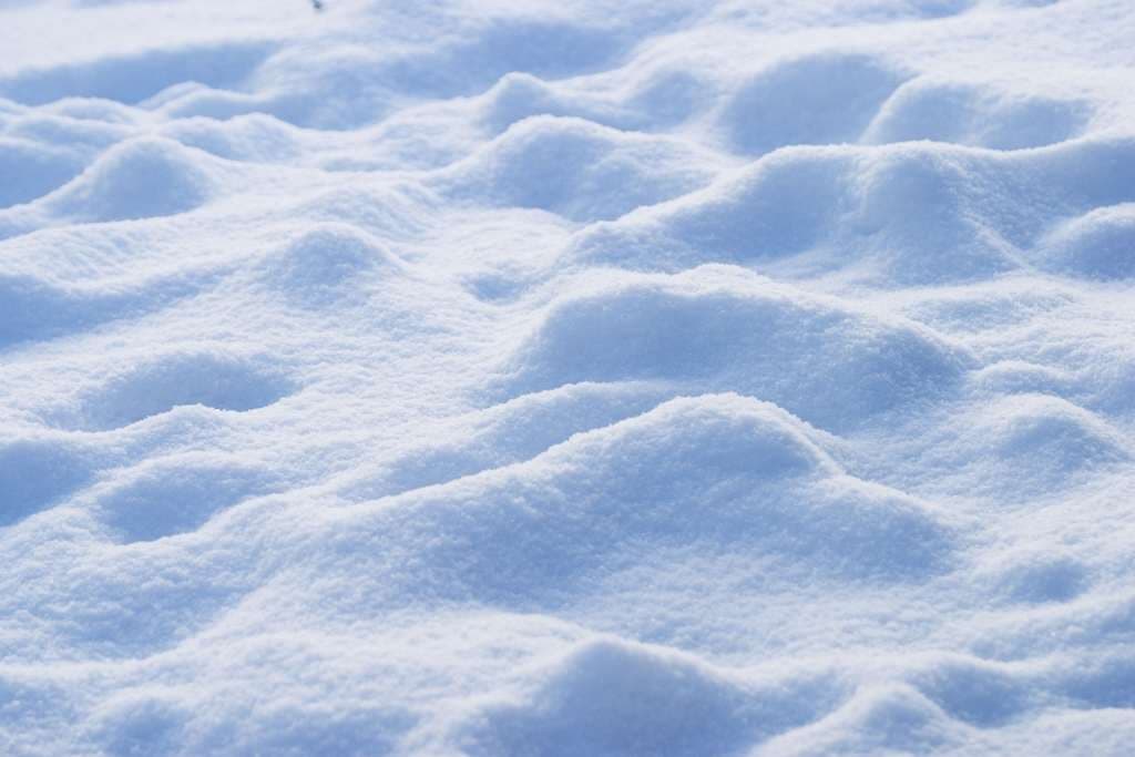 7 trucos de supervivencia que, según la ciencia, realmente te salvarían la vida