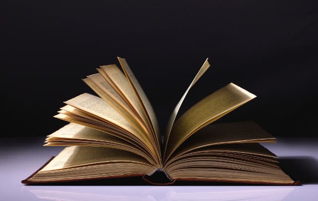 ¿Qué es la Teoría del Gran Hombre?