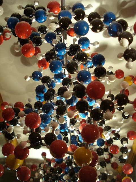 Qué son las biomoléculas