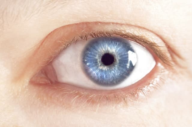 Según este estudio, las personas de ojos azules son más propensas al alcoholismo