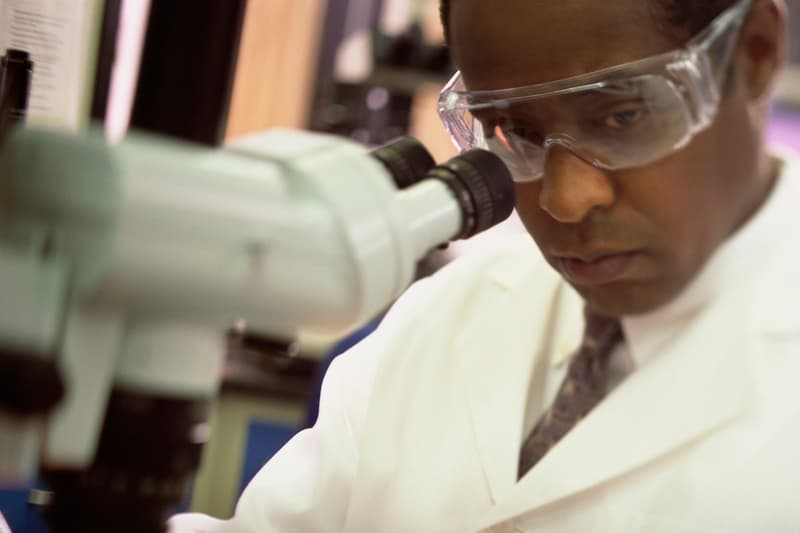 ¡Qué honor! 11 especies con nombres inspirados en personas famosas