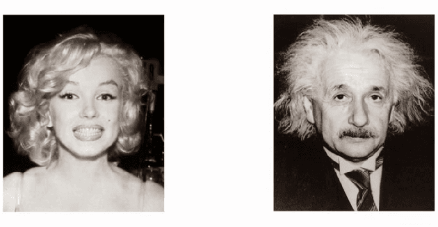 Test visual: ¿Albert Einstein o Marilyn Monroe?