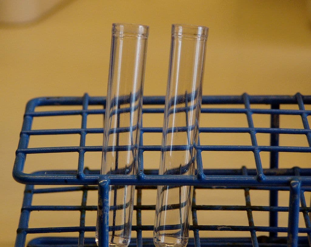 Cómo extraer el ADN de una pera