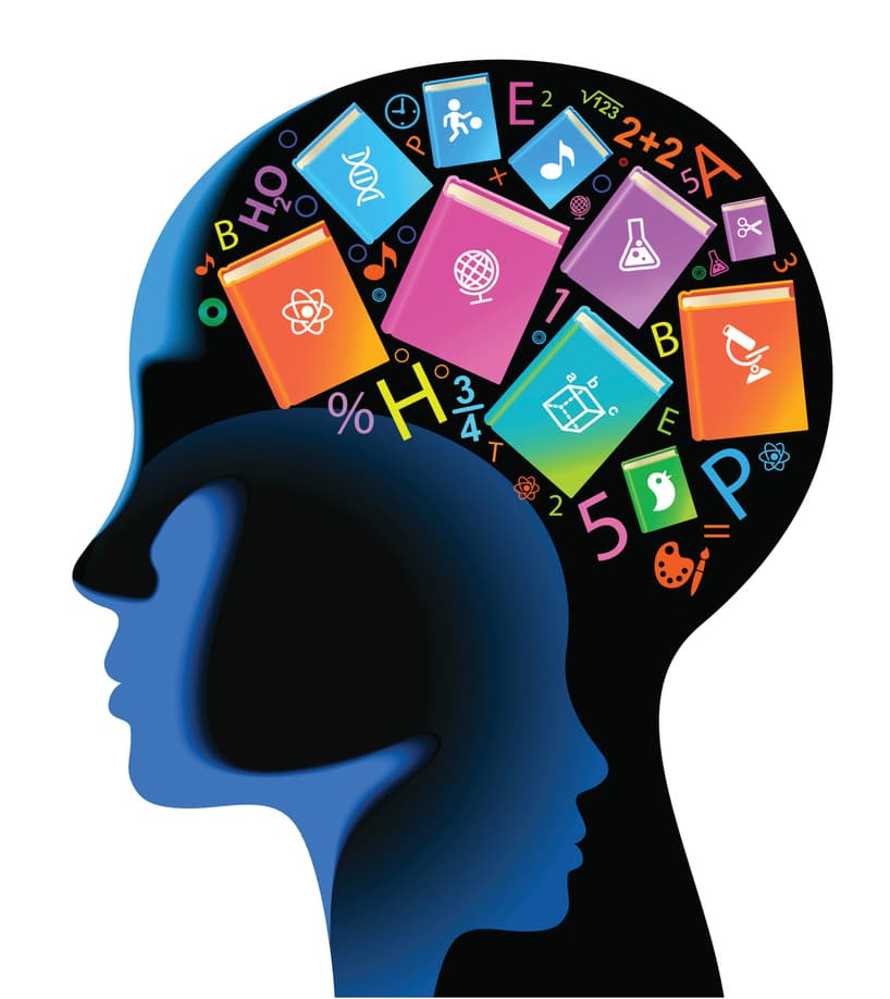 ¿Puede la literatura hacernos más inteligentes?