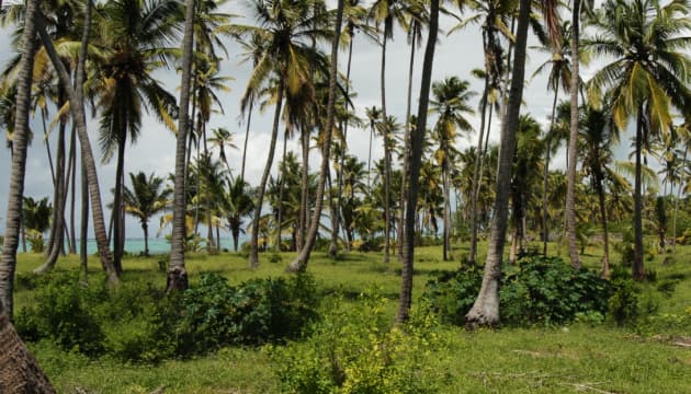 Características y diferencias de los diferentes formatos de imágenes