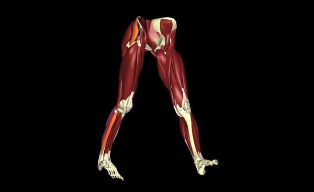 Exoesqueleto robot permite aumentar la fuerza cual si fueras un androide