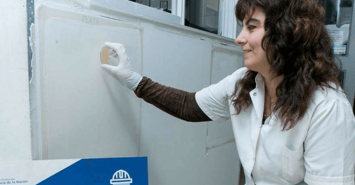 Científicos argentinos crean una pintura que combate infecciones intrahospitalarias