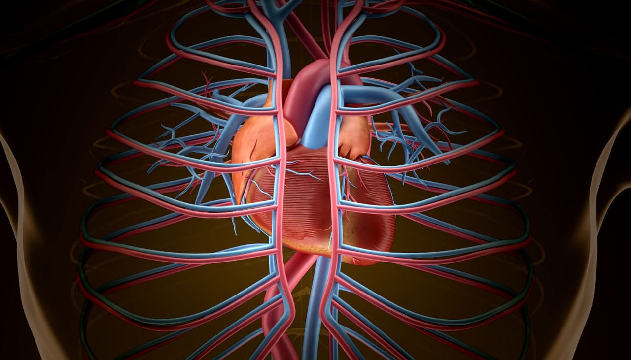 Infarto da 2 señales 24 horas antes de suceder: estudio lo confirma