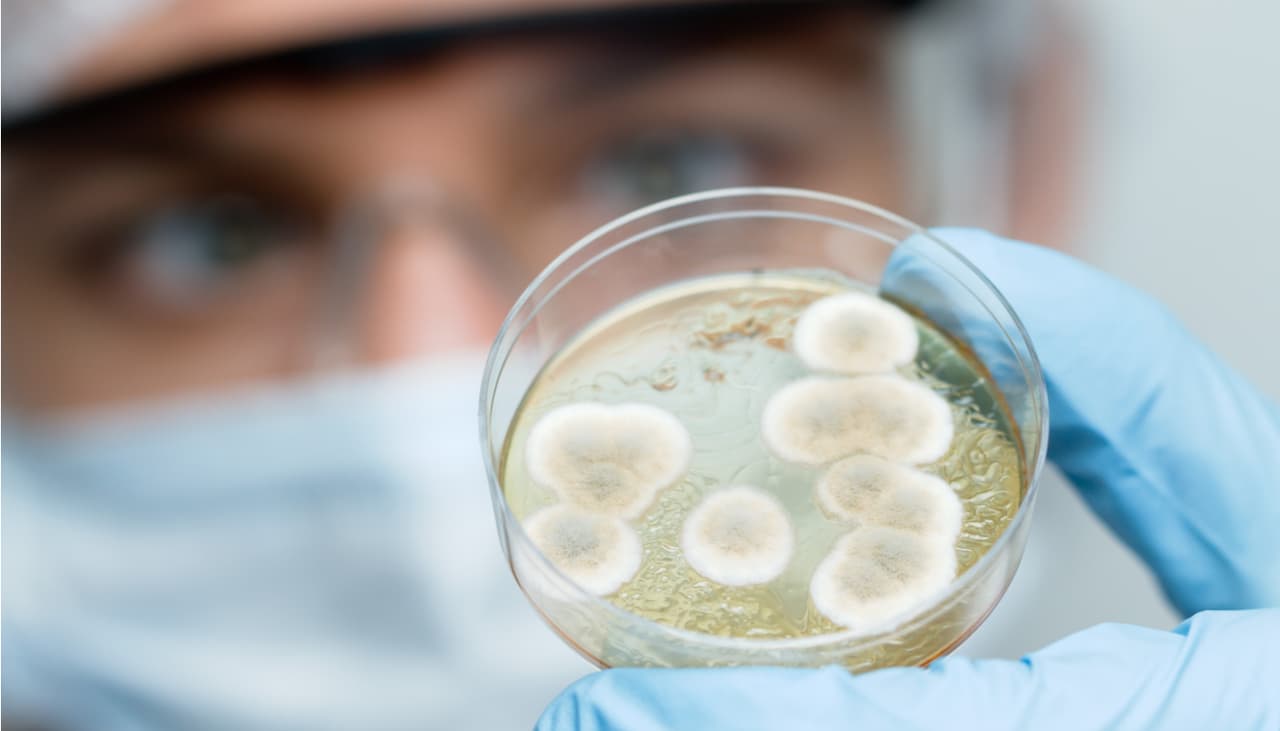 El eslabón perdido de las bacterias podría dar pistas sobre el origen de la vida en la Tierra