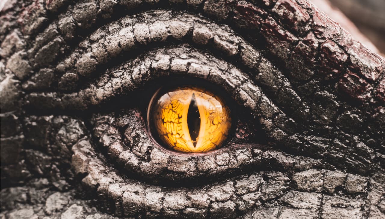 Los dinosaurios no solo eran carnívoros, también pudieron ser caníbales