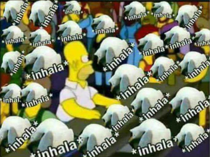 La gaviota intensa: su historia y las 10 mejores imágenes del meme del momento