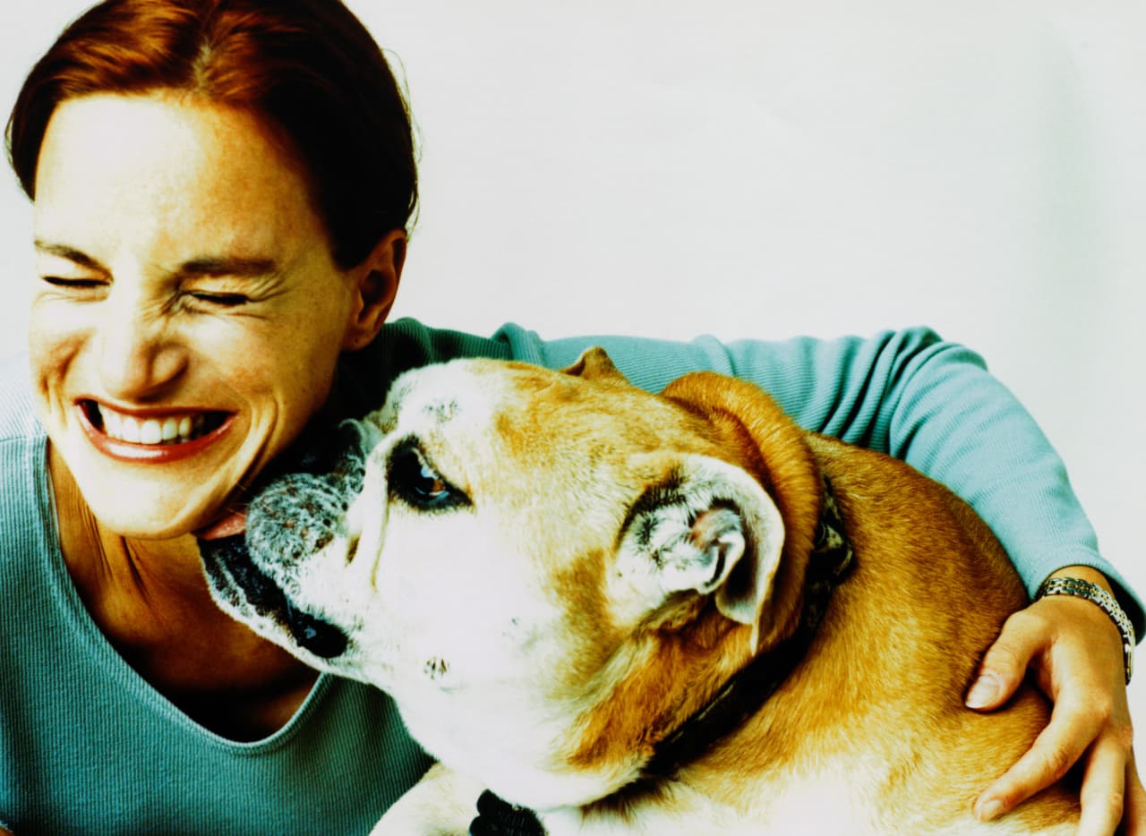 Así es como un perro puede detectar uno de los problemas de salud más comunes y serios