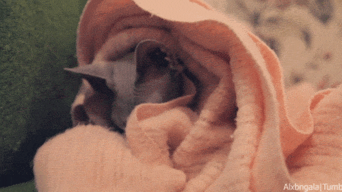 El suelo radiante es costoso ¿pero vale la pena?