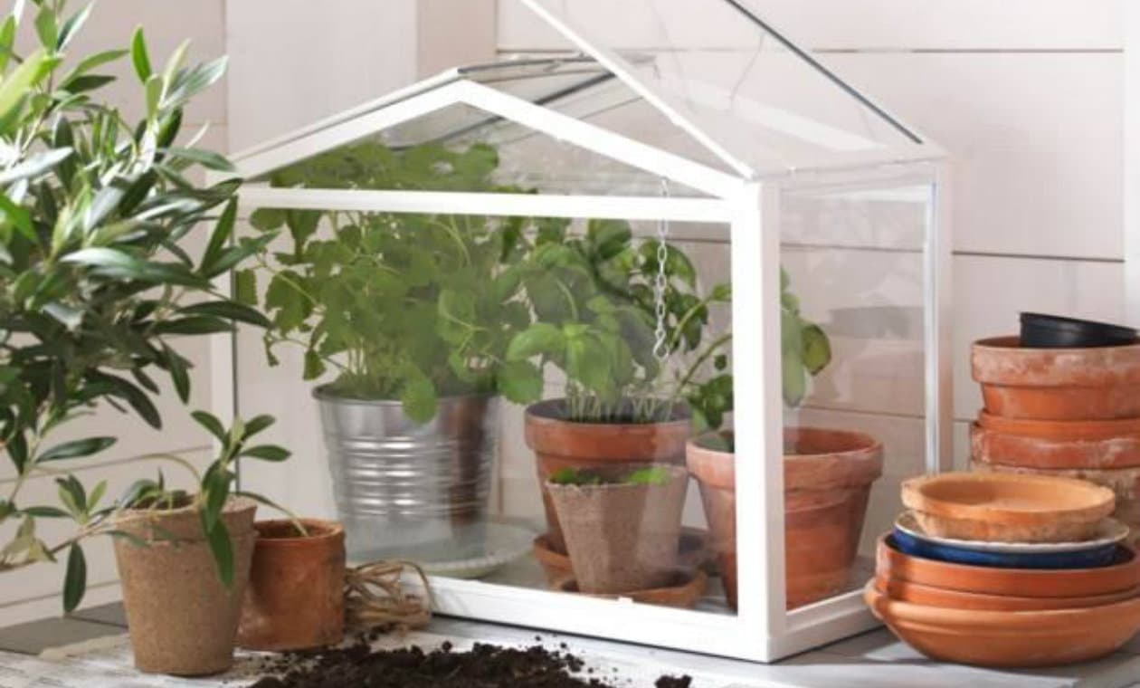 5 ideas para hacer que florezcan tus proyectos de jardinería